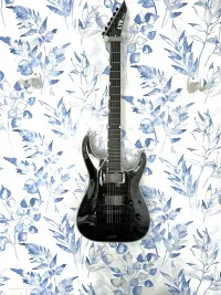 LTD MH-1001 Electric guitar - Polgár Krisztián [April 29, 2024, 1:13 pm]