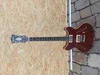 DAngelico Excel DC Tour Elektromos gitár - kellemetlenarpad [Ma, 13:58]