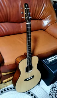 Baton Rouge L1LSF Electro-acoustic guitar - instrument07 [May 1, 2024, 10:59 pm]