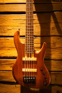 Prieger Jb Custom 5 Bass guitar 5 strings - TÁron [June 6, 2024, 10:18 am]