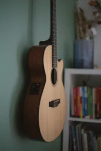 Cort CEC3 NS Acoustic guitar - Tudor3 [Today, 4:25 pm]