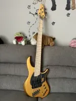 Dingwall NG3 Bass guitar 5 strings - Rikimstr [Today, 7:00 pm]