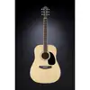 Jack and Danny Brothers D-80 Acoustic guitar
