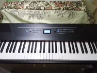 Alesis Recital Pro Elektromos zongora - richtig [Tegnapelőtt, 10:01]