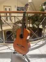 Antonio Sanchez  Guitarra clásica - Somogy Remig [Today, 12:25 pm]