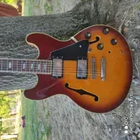 Aria Pro II TA 61 hollow body Es335 style Elektromos gitár - reducer75 [2024.05.15. 16:02]