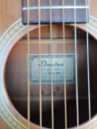 Dowina JCE 555 Guitarra electroacústica - Laszlo Borza [June 19, 2024, 11:00 am]