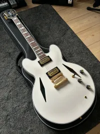 Epiphone Emily Wolfe Sheraton