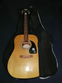 Epiphone Pro-1