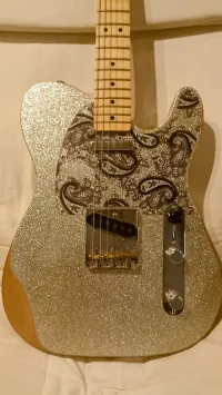 Fender Brad Praisley Road Worn telecaster