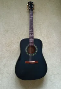 Fender DG22S BLB Acoustic guitar - Szőcs Lajos [June 10, 2024, 11:59 am]