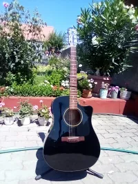 Fender Elektroakusztikus gitár Guitarra electroacústica - Bátorfi Attila [July 3, 2024, 12:47 pm]