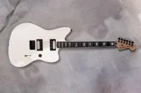 Fender Jazzmaster Jim Root V4 Electric guitar - Slayer.666 [August 8, 2024, 11:04 am]