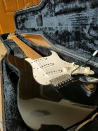 Fender MIM Stratocaster E-Gitarre - Vanitas [September 22, 2024, 11:32 pm]