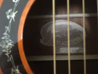 Fender T-Bucket 300CE 3TS Electro-acoustic guitar - Balázs [June 8, 2024, 10:44 am]