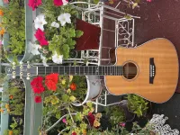 Godin Seagull Artist Mosaic EQ Guitarra electroacústica - Flachner Magdolna [June 14, 2024, 7:43 pm]