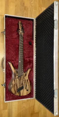 GV Guitars Stellar - Fangorn Electric guitar - Csaba Gődér [July 31, 2024, 9:31 pm]