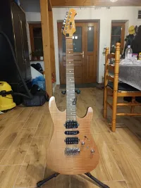 Harley Benton Fusion II Roasted HSH Electric guitar - DanielLong [September 19, 2024, 8:58 pm]