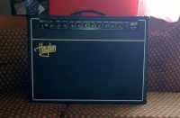 Hayden HGT-A 20 Guitar combo amp - Mátyus Sándor Csaba [September 18, 2024, 3:17 pm]