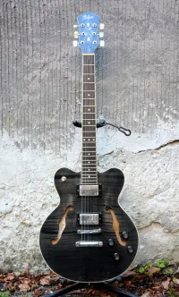 Höfner CS Verythin Deluxe Transparent Black Guitarra eléctrica - Hurtu [September 21, 2024, 6:23 pm]