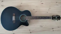 Ibanez AEL2012-TKS1201 Electro-acoustic guitar 12 strings - DRoland [September 10, 2024, 10:12 am]