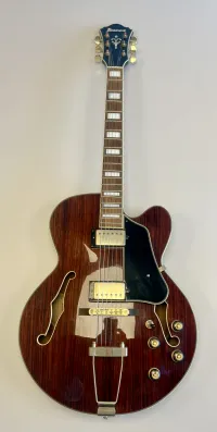 Ibanez AF95RW Jazz guitar - th0mek [September 16, 2024, 11:34 am]