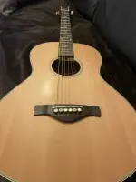 Ibanez AN60 Electro-acoustic guitar - Levente7101 [Today, 8:21 pm]