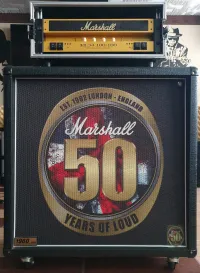 Marshall EL34 100  100 + Marshall Custom Shop 50th 1960B Kopf und Truhe - Fedale [July 1, 2024, 2:40 pm]
