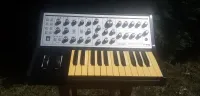Moog Sub Phatty Synthesizer - Stringkiller 72 [June 8, 2024, 1:49 pm]
