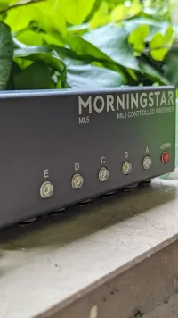 Morningstar ML5 Pedal - Szécsényi László [Day before yesterday, 10:52 am]