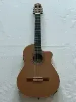 Ortega Ben Woods Signature BWSM2 Elektroakustická gitara - Obalee [Day before yesterday, 7:04 pm]