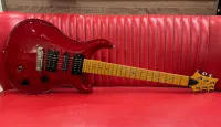 Paul Reed Smith Swamp Ash Special E-Gitarre - BMT Mezzoforte Custom Shop [September 6, 2024, 4:50 pm]