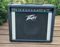 Peavey Backstage 110