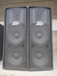 Peavey PV215 Altavoz - Uglycult [Today, 8:55 am]