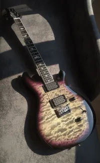 PRS SE Mark Holcomb