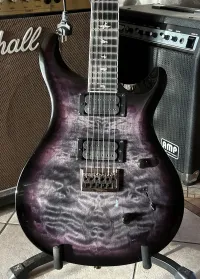 PRS SE Mark Holcomb