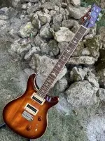 PRS SE Standard 24