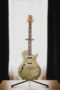 PRS SE Zach Myers Electric guitar - Cimi [Day before yesterday, 2:03 pm]