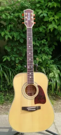 Richwood Artist series RD-20 Acoustic guitar - Istenes József [June 10, 2024, 9:10 pm]