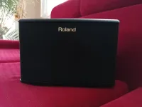 Roland AC 40 Acoustic guitar amplifier - Attila Balázs [September 9, 2024, 12:41 pm]