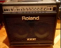 Roland Roland D-BASS 210 Bass Combo - baudela [September 20, 2024, 11:31 pm]