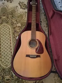 Seagull S6 Slim Acoustic guitar - CountryBoy [May 31, 2024, 2:59 pm]
