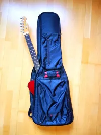 Special Design Case Szivacsos gitártok Guitar case - TREW [May 18, 2024, 7:14 am]