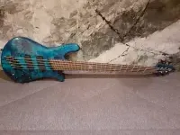 Spector NS Dimension 5 Bass guitar 5 strings - Hell [June 4, 2024, 6:13 pm]