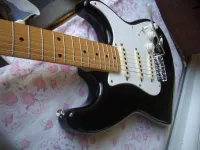 Squier Affinity E-Gitarre - medora [September 24, 2024, 4:56 pm]