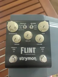 Strymon Flint V2 Pedal - M Pál [September 11, 2024, 9:06 am]