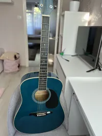 SX DG1KTBU Acoustic guitar - ketch-up [Day before yesterday, 6:47 pm]