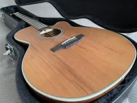 Takamine GN20CE NS Electro-acoustic guitar - Fehér Laci [Yesterday, 9:35 am]