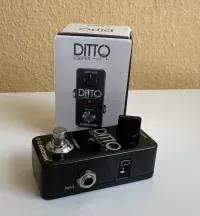 TC Electronic Ditto Looper Pedal - Inline [August 7, 2024, 7:27 pm]