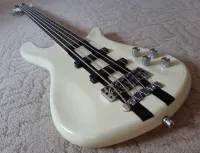 RockBass By Warwick Streamer NTI 5 Bajo eléctrico - squierforsale [July 28, 2024, 11:37 am]